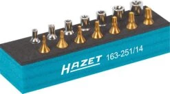 HAZET TORX® Satz Vierkant Hohl 6,3mm 1/4 Zoll Außen Innen 14-teilig 163-251/14 5 HAZET TORX® Satz Vierkant Hohl 6,3mm 1/4 Zoll Außen Innen 14-teilig 163-251/14 -Werkzeug Günstiges Geschäft 163 251 14 23detail 23links