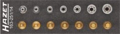 HAZET TORX® Satz Vierkant Hohl 6,3mm 1/4 Zoll Außen Innen 14-teilig 163-251/14