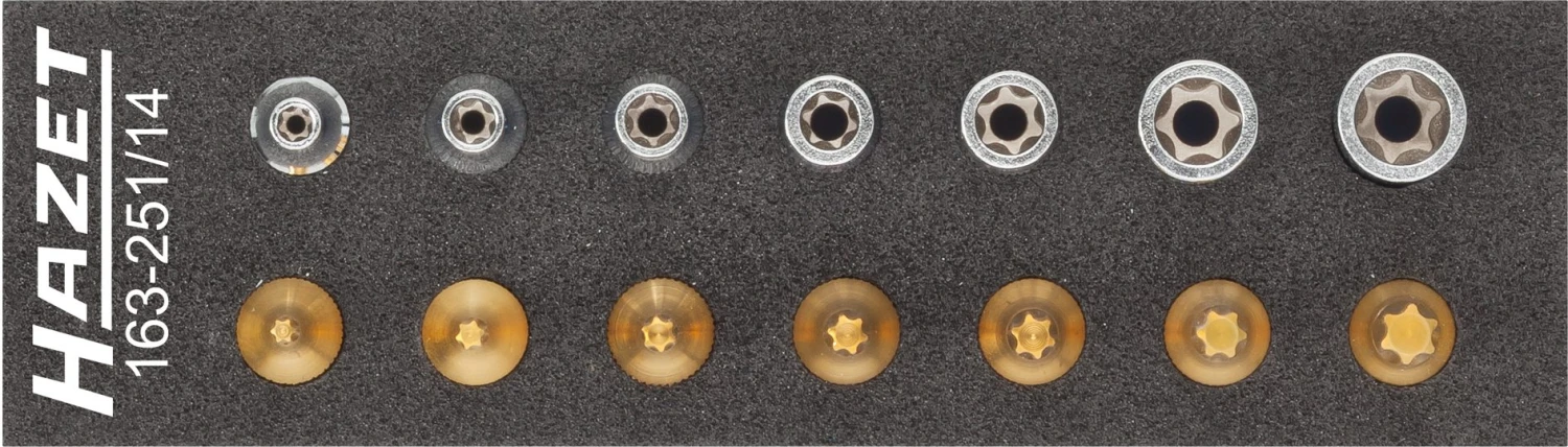 HAZET TORX® Satz Vierkant Hohl 6,3mm 1/4 Zoll Außen Innen 14-teilig 163-251/14 1 HAZET TORX® Satz Vierkant Hohl 6,3mm 1/4 Zoll Außen Innen 14-teilig 163-251/14