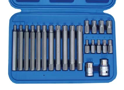 BGS Bit-Satz | Antrieb Außensechskant 10 Mm (3/8") | Keil-Profil (für Ribe) | 22-tlg. – 5013 2 BGS Bit-Satz | Antrieb Außensechskant 10 Mm (3/8") | Keil-Profil (für Ribe) | 22-tlg. – 5013 – Bild 2