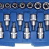 BGS Bit-Einsatz-/Steckschlüssel-Einsatz-Satz | 12,5 Mm (1/2") | E-Profil / T-Profil (für Torx) | 19-tlg. – 5100