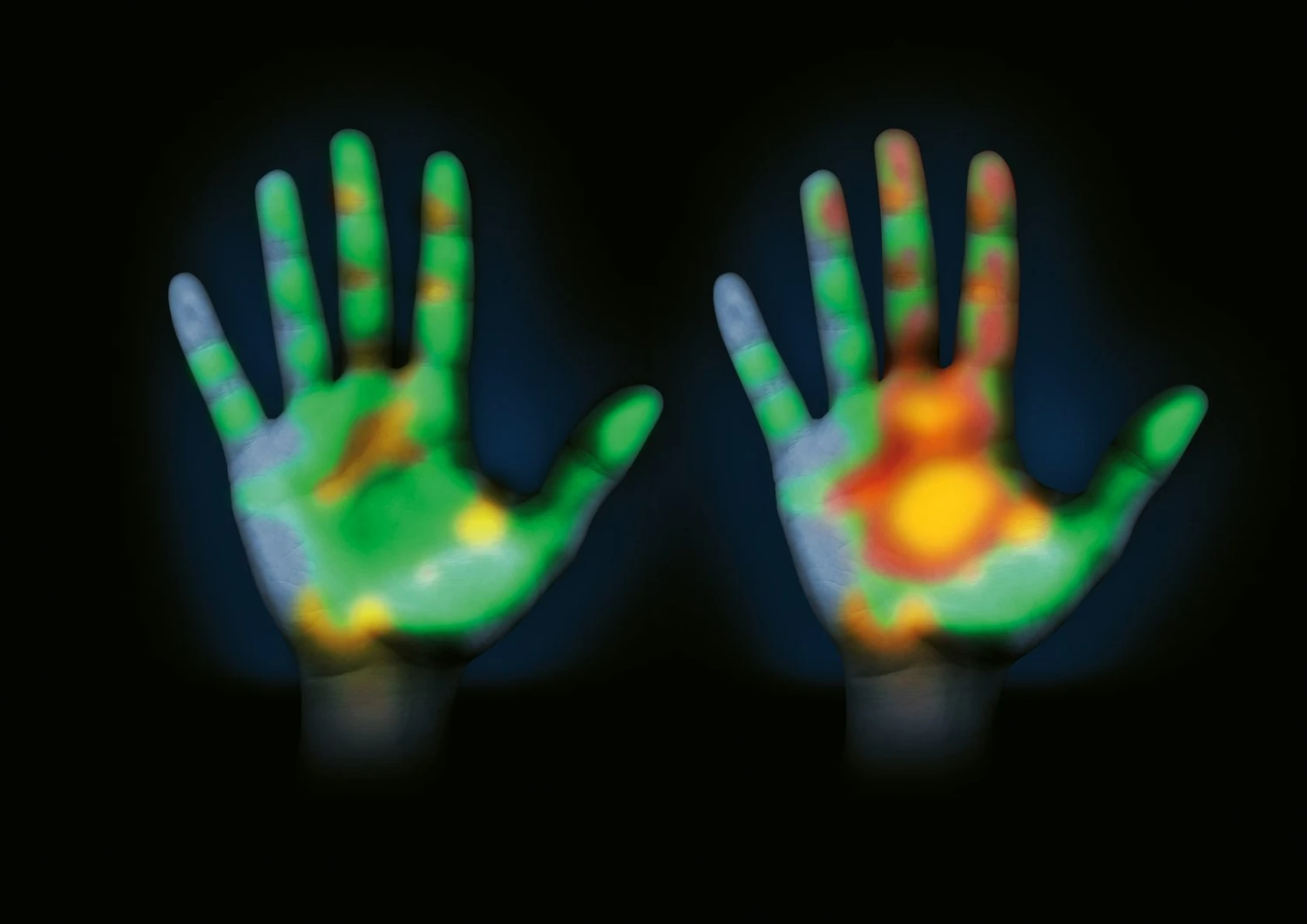 HAZET Schraubendreher HEXAnamic® Kreuzschlitz Profil PH 159mm 802-PH0 6 HAZET Schraubendreher HEXAnamic® Kreuzschlitz Profil PH 159mm 802-PH0 – Bild 6